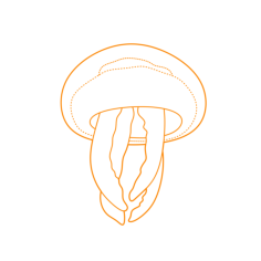 Animals Jellyfish Moon Jellyfish Outline Icon Svg Set, Free Vectors File